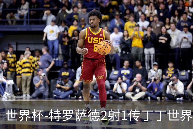 世界杯-特罗萨德2射1传丁丁世界波 比利时5-1新西兰获头名